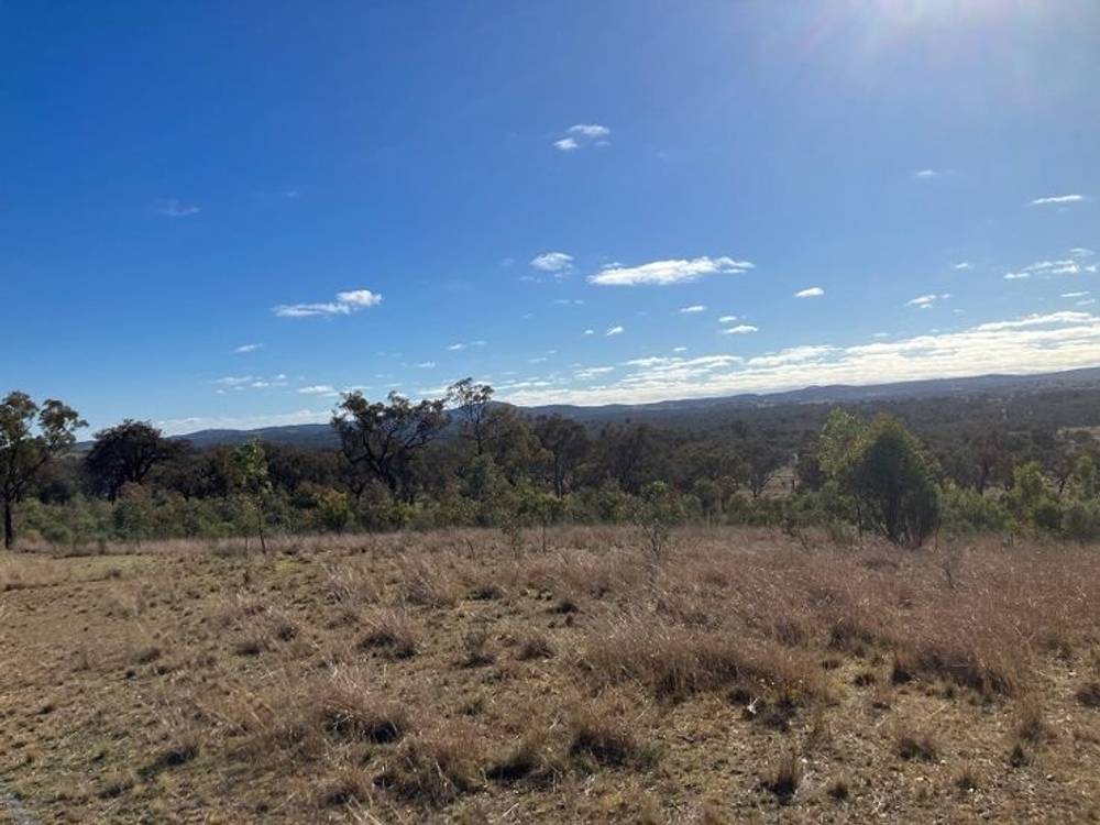 657 Springdale Road, STANTHORPE, QLD 4380
