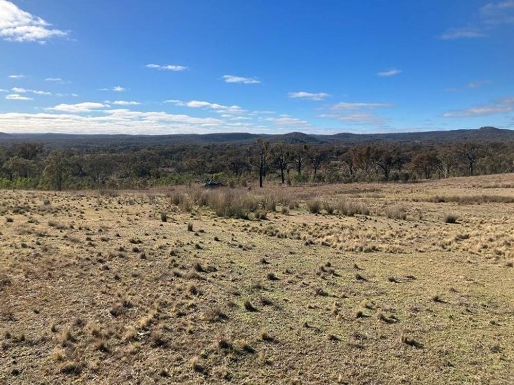 657 Springdale Road, STANTHORPE, QLD 4380