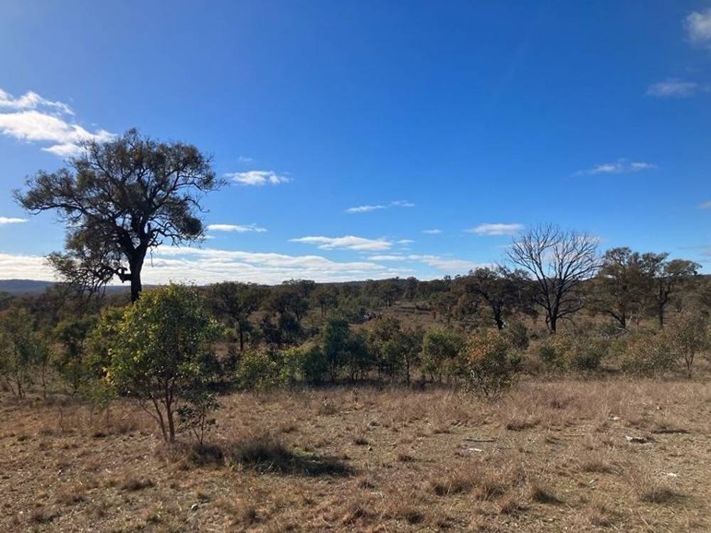 657 Springdale Road, STANTHORPE, QLD 4380