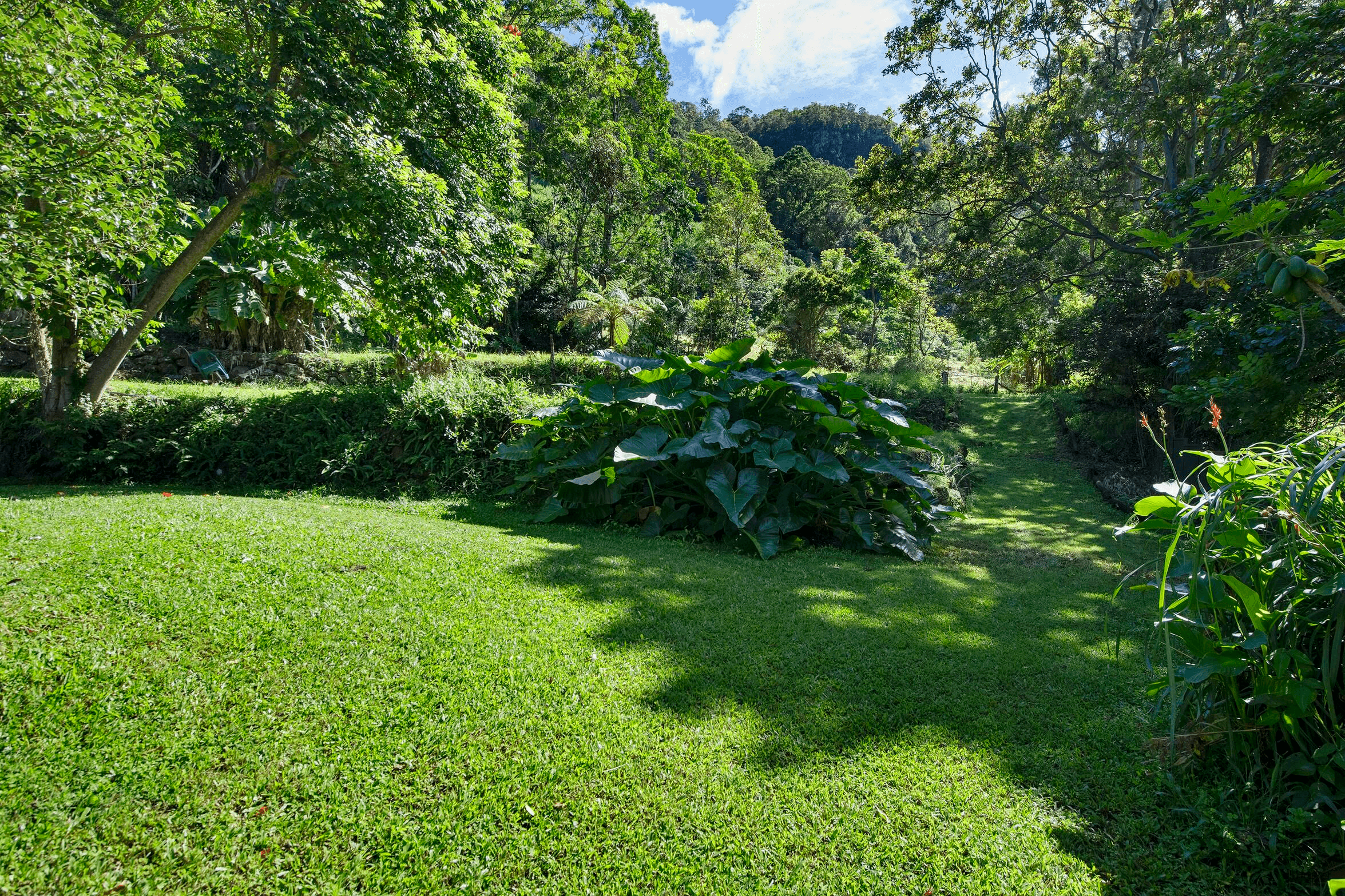 78 Estelle Road, Currumbin Valley, QLD 4223