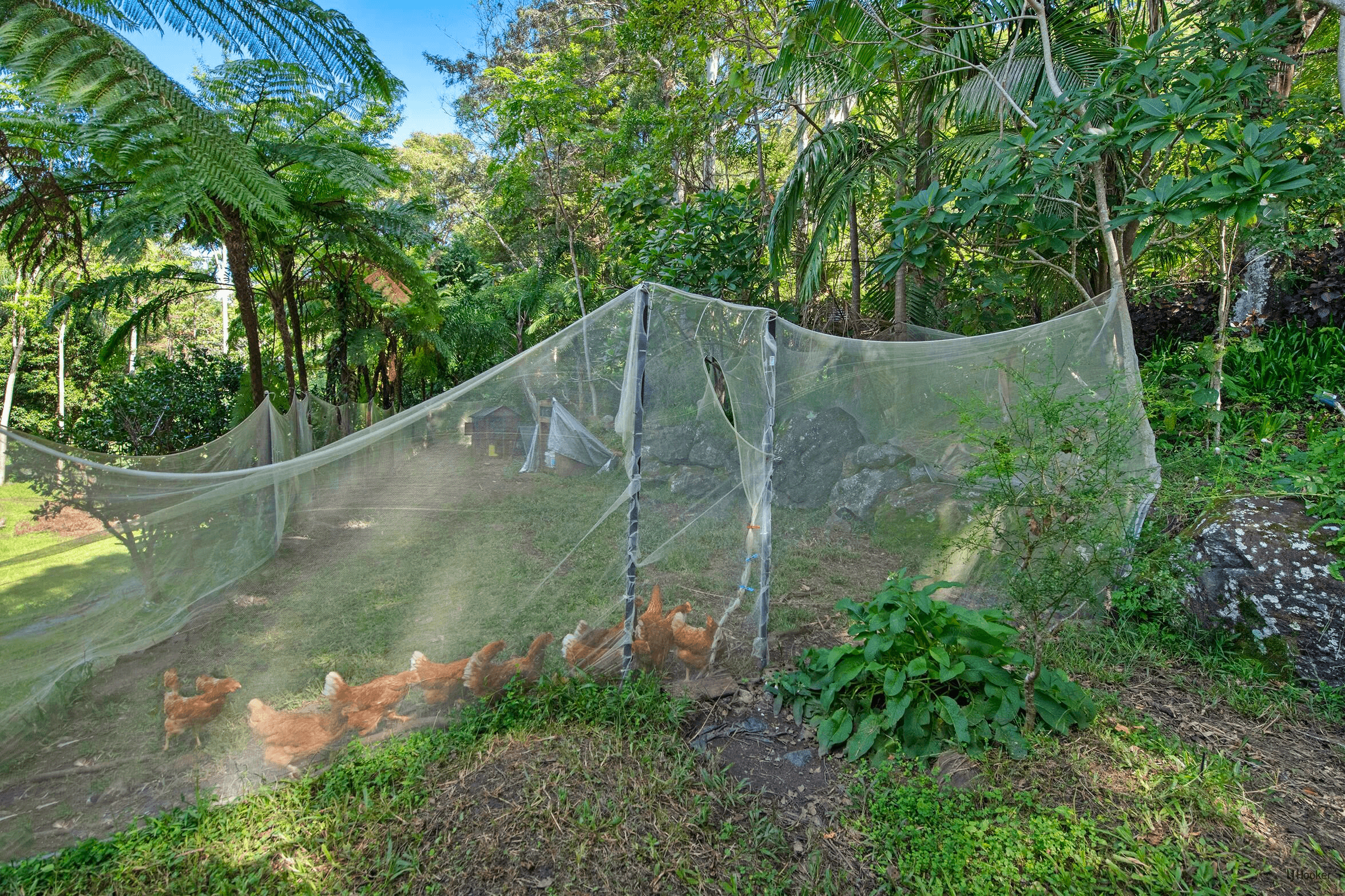 78 Estelle Road, Currumbin Valley, QLD 4223