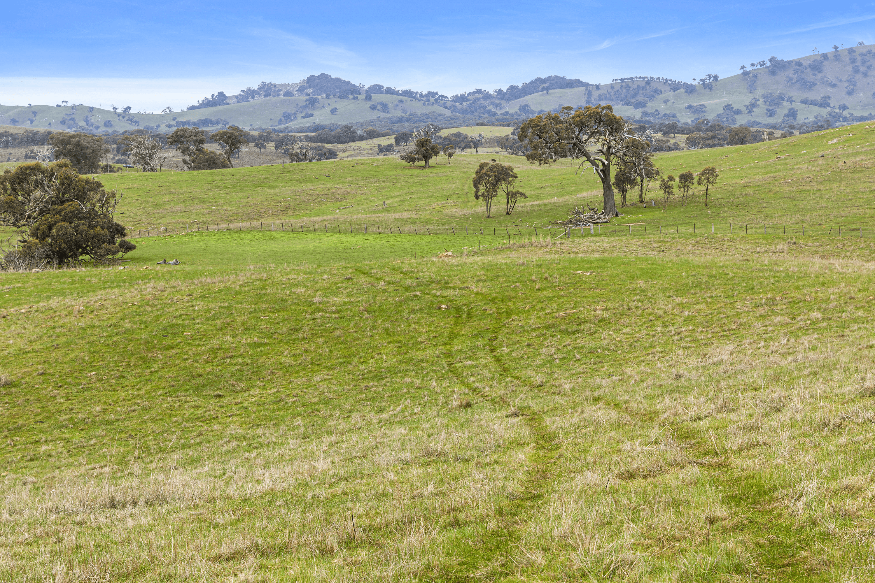 1045 Dairyflat Road, Tooborac, VIC 3522