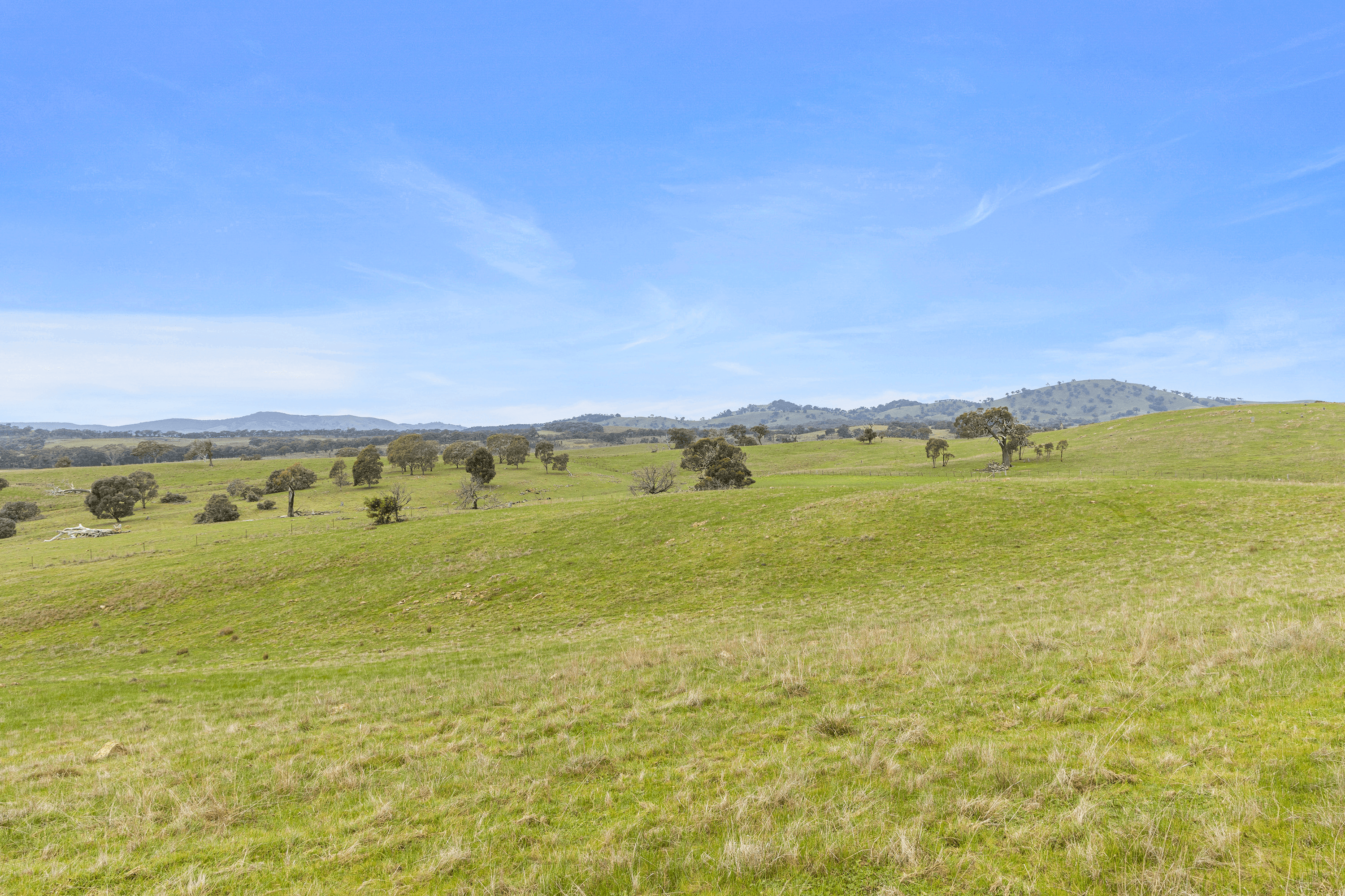 1045 Dairyflat Road, Tooborac, VIC 3522