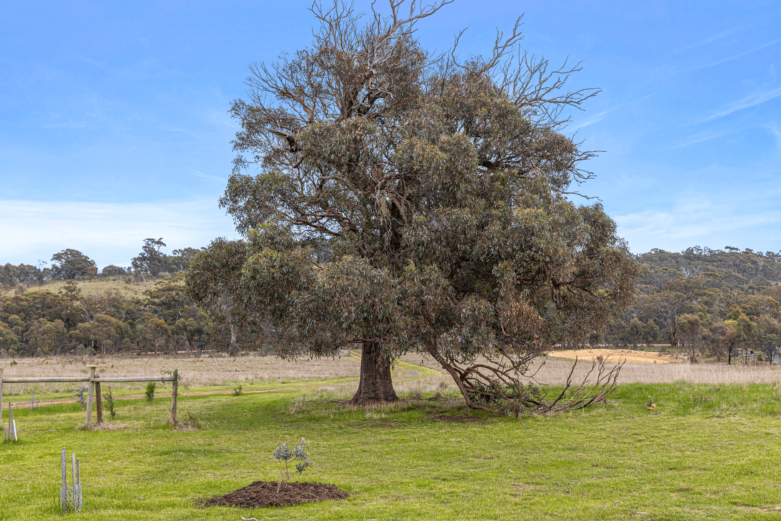 1045 Dairyflat Road, Tooborac, VIC 3522