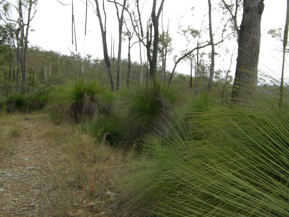 0 Jimmy Scrub Road, MANUMBAR, QLD 4601