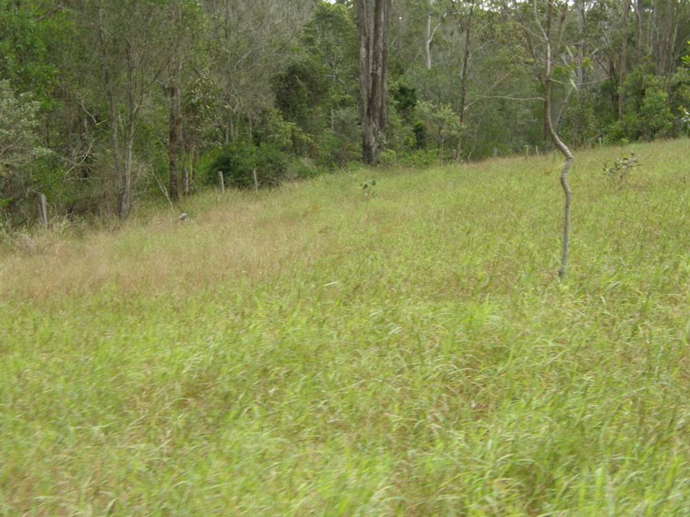 0 Jimmy Scrub Road, MANUMBAR, QLD 4601