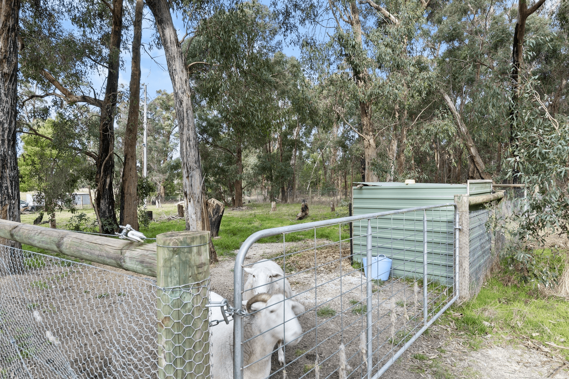 521 Linton-Carngham Road, Snake Valley, VIC 3351