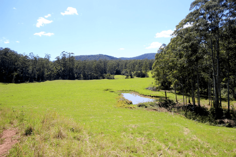 142 The Cedars Road, BELLANGRY, NSW 2446