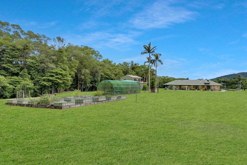136 Cassowary Road, Cassowary, QLD 4873