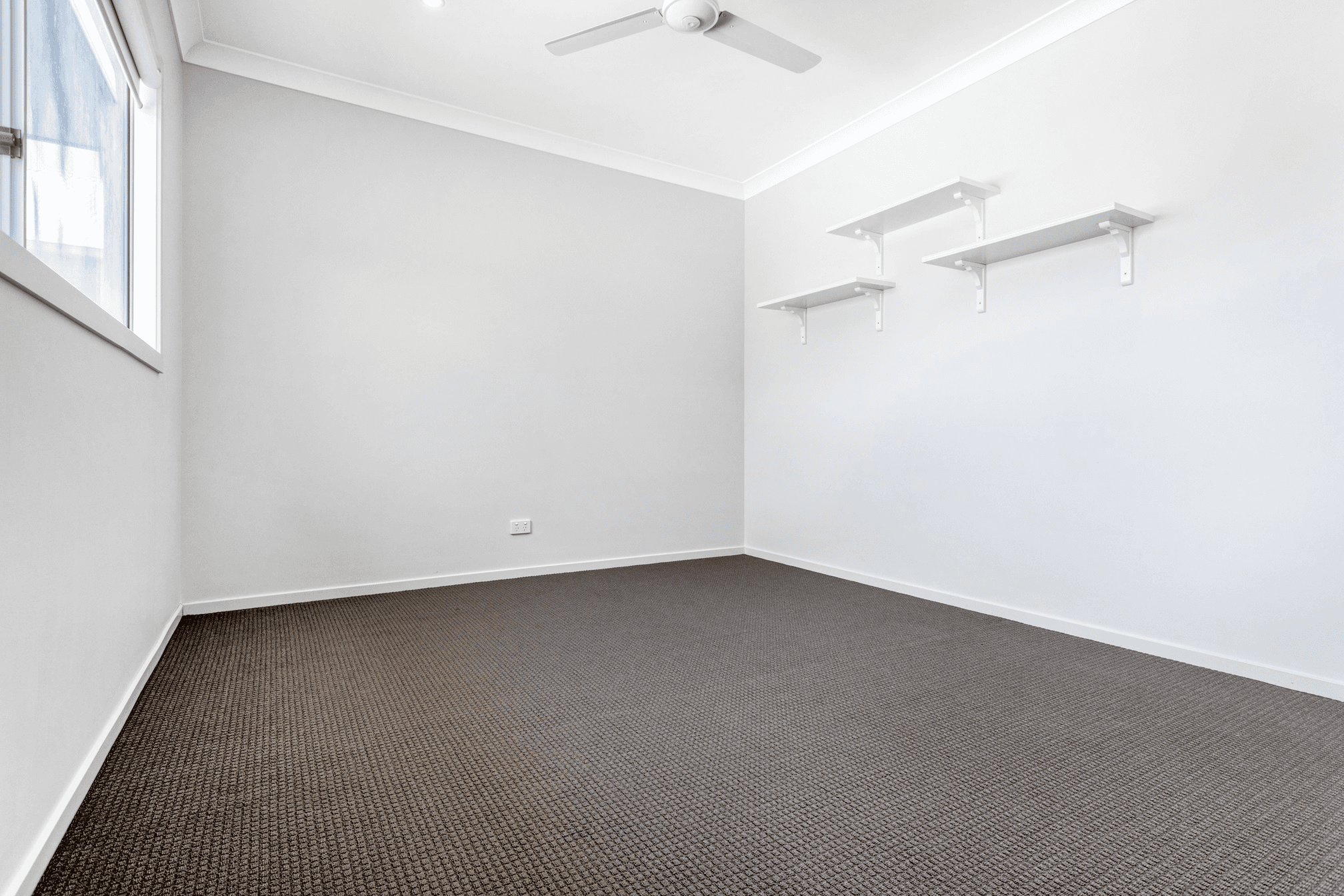 17 Solo Street, Newport, QLD 4020