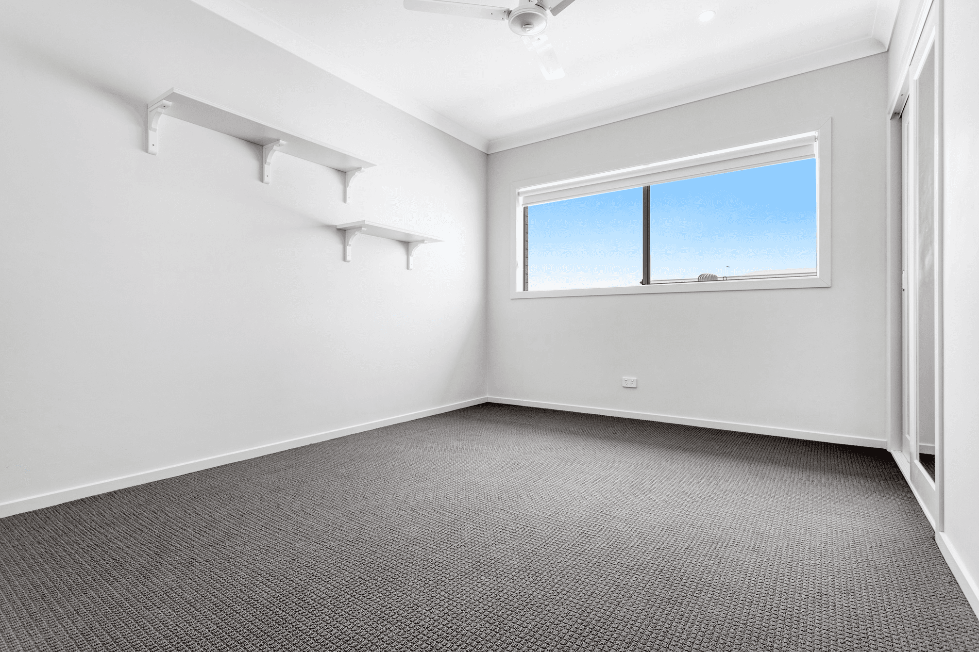17 Solo Street, Newport, QLD 4020