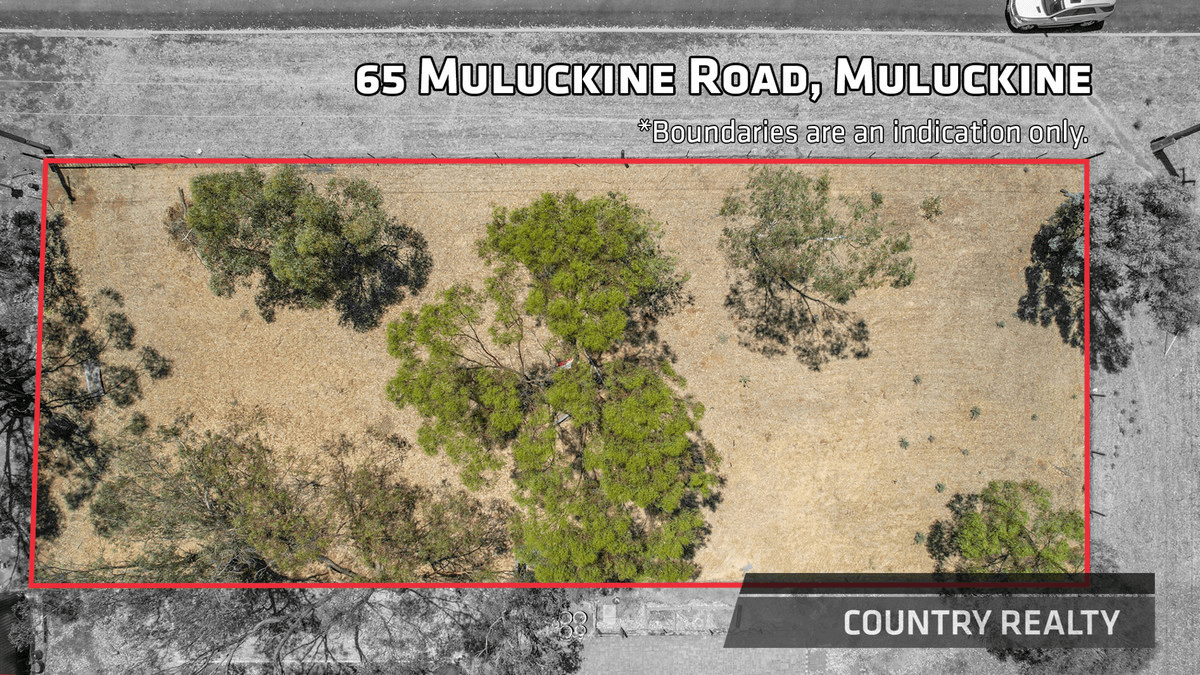 65 Muluckine Road, Northam, WA 6401