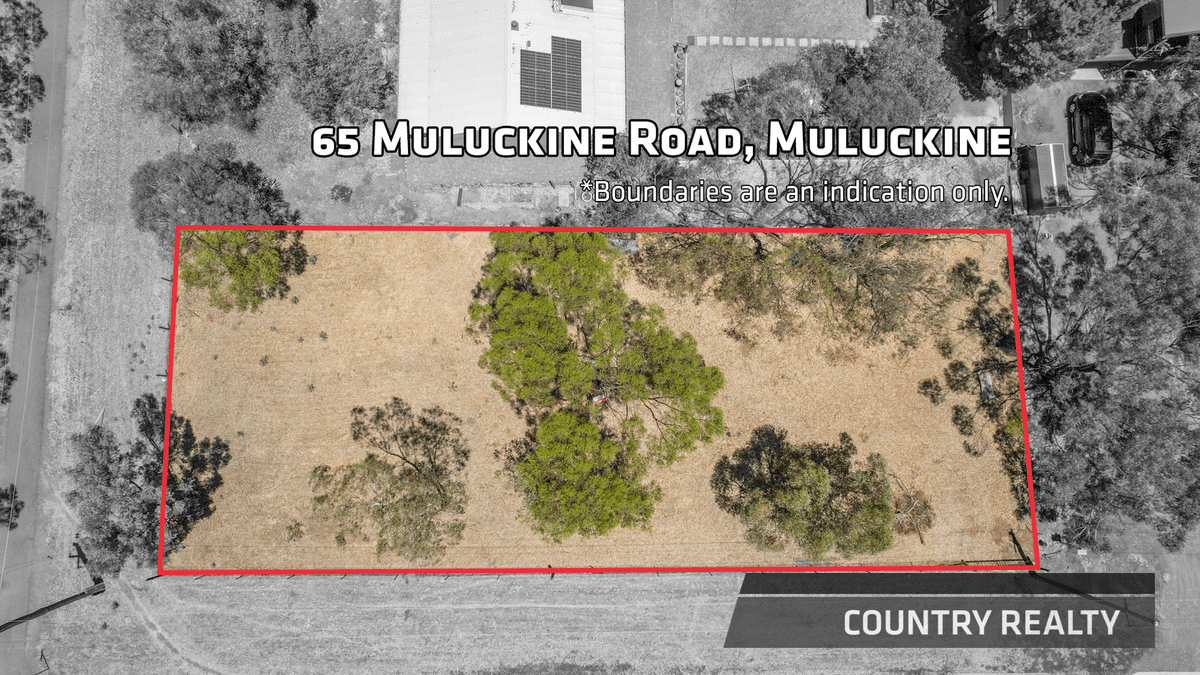 65 Muluckine Road, Northam, WA 6401