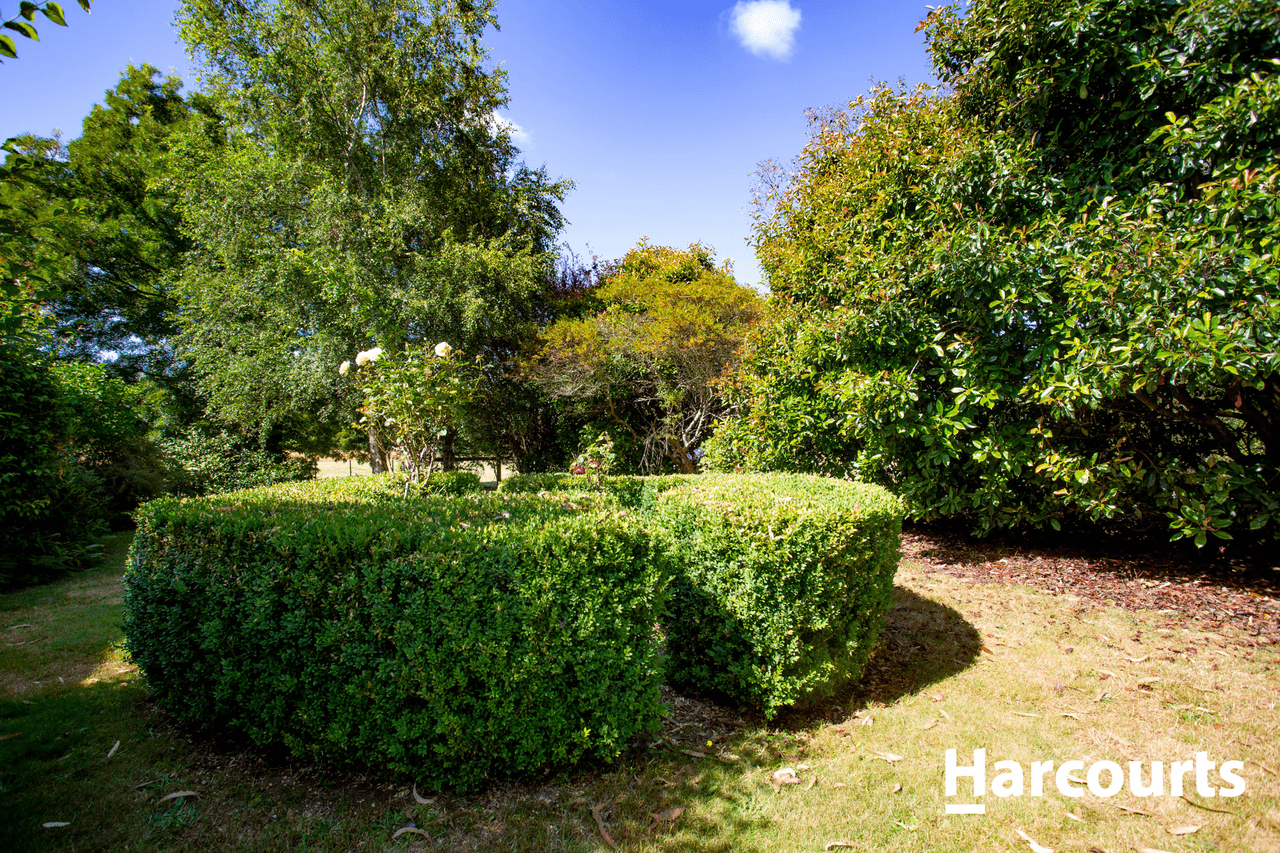 59 Moore Street, WESTBURY, TAS 7303