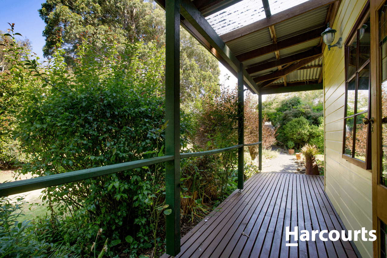 59 Moore Street, WESTBURY, TAS 7303
