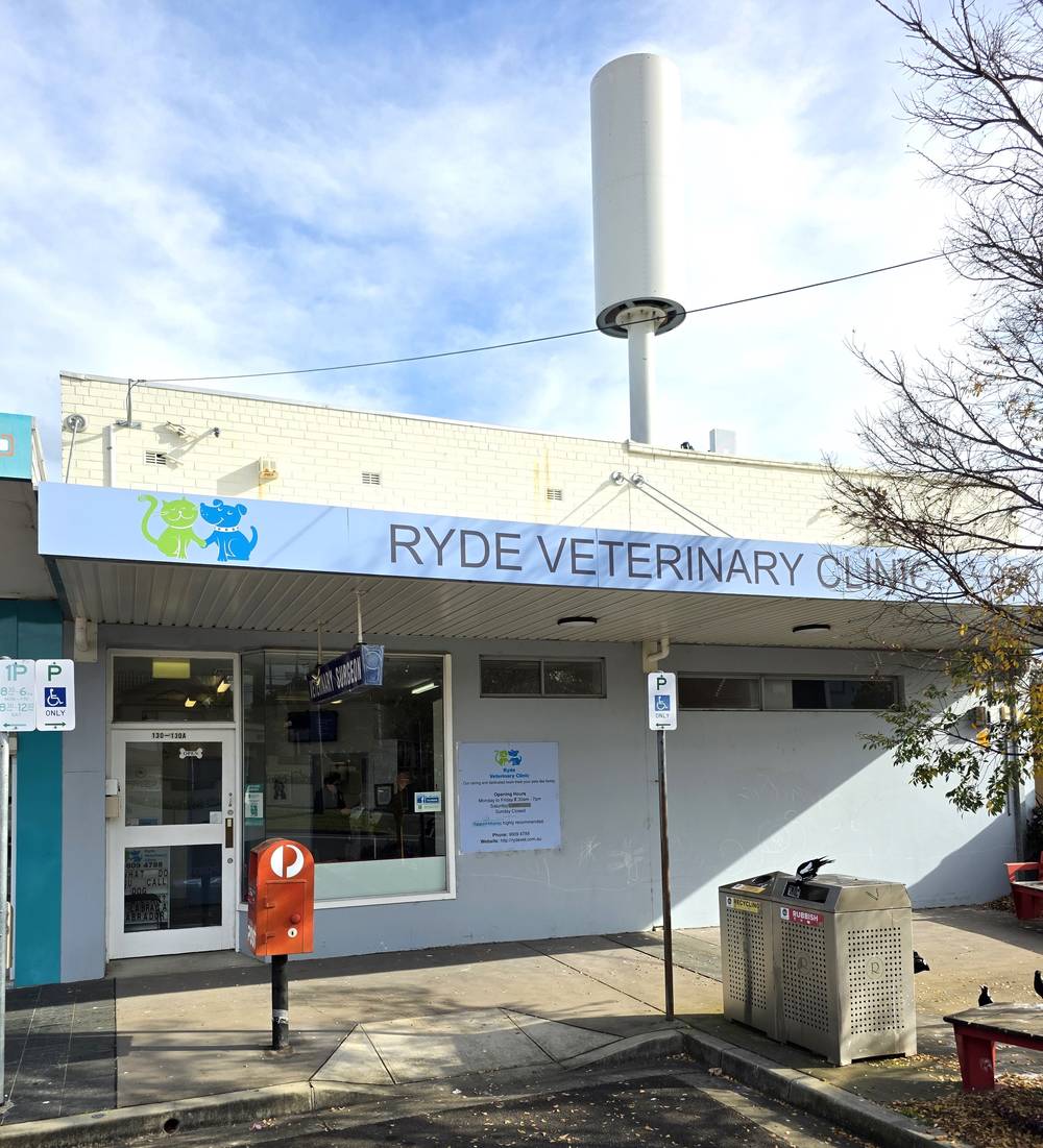 130 Quarry Road, RYDE, NSW 2112