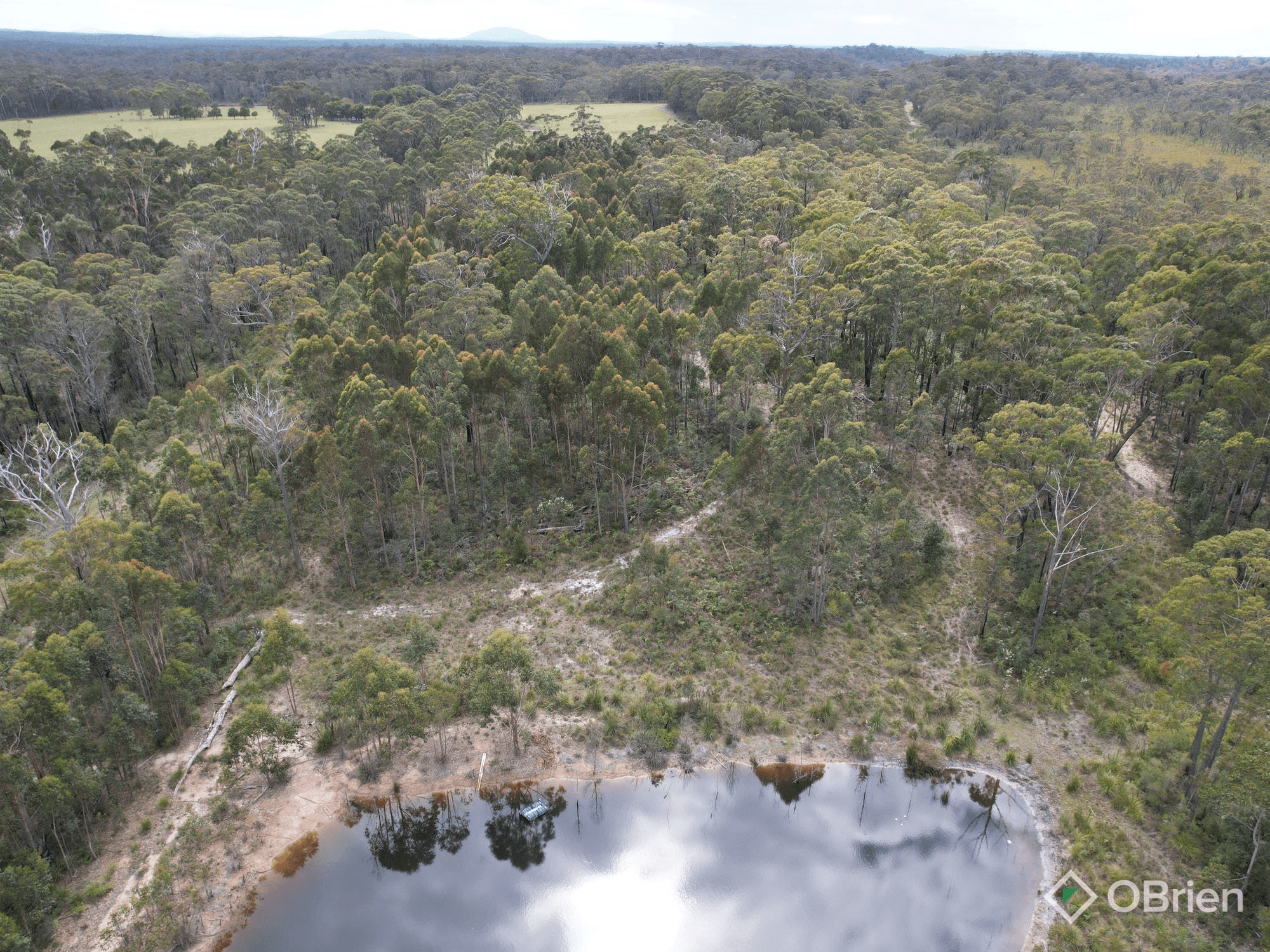 726 Cabbage Tree-Conran Road, Marlo, VIC 3888