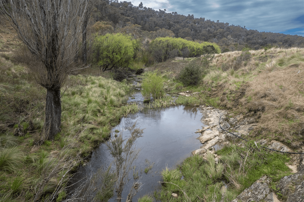 172 Back Arm Road, Middle Arm Via, GOULBURN, NSW 2580