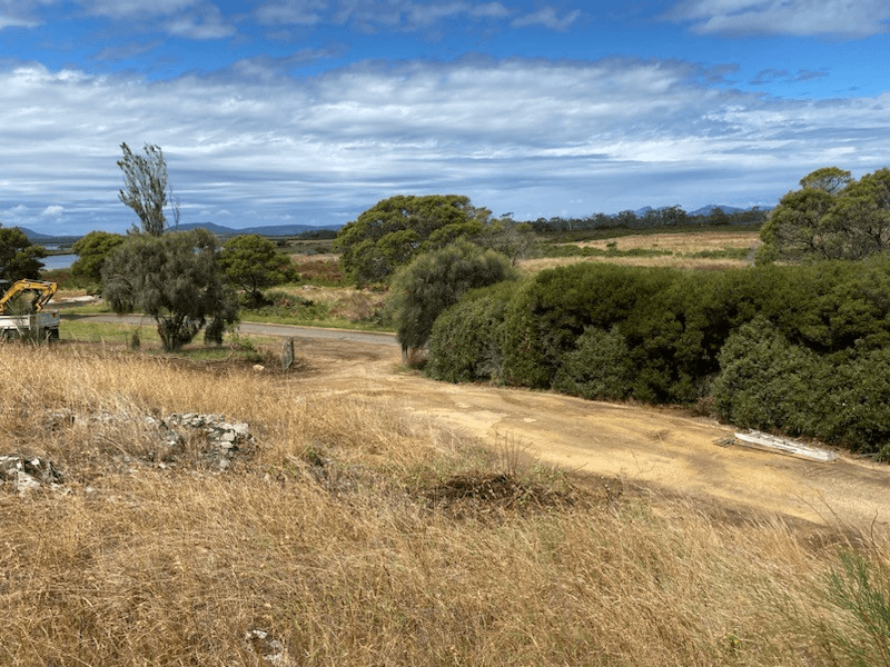 343 Swan River Road, DOLPHIN SANDS, TAS 7190