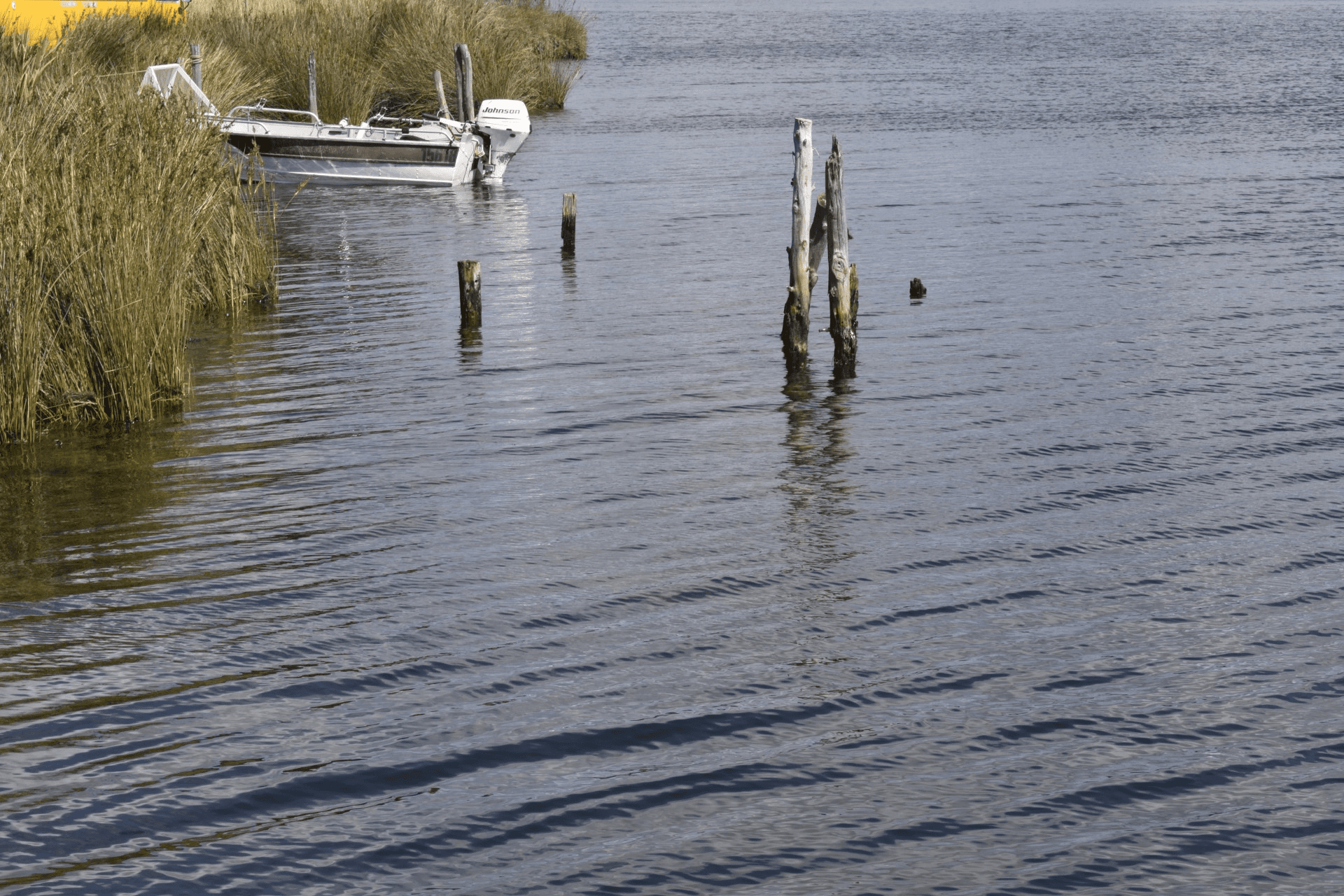 343 Swan River Road, DOLPHIN SANDS, TAS 7190
