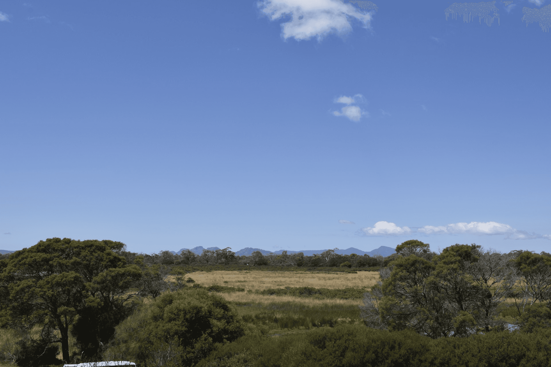 343 Swan River Road, DOLPHIN SANDS, TAS 7190