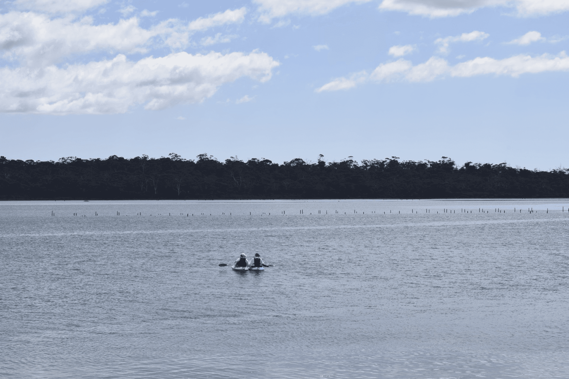 343 Swan River Road, DOLPHIN SANDS, TAS 7190