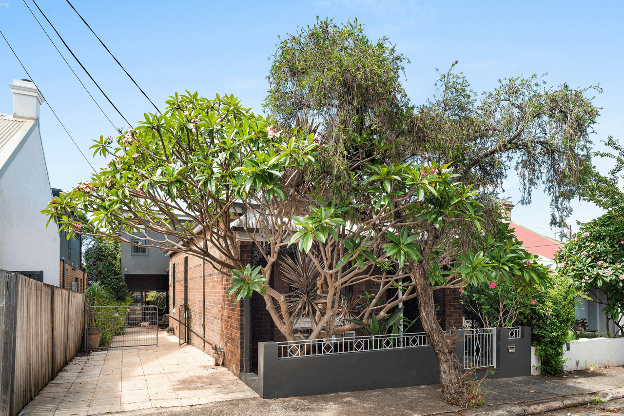 70 Wells Street, Newtown, NSW 2042