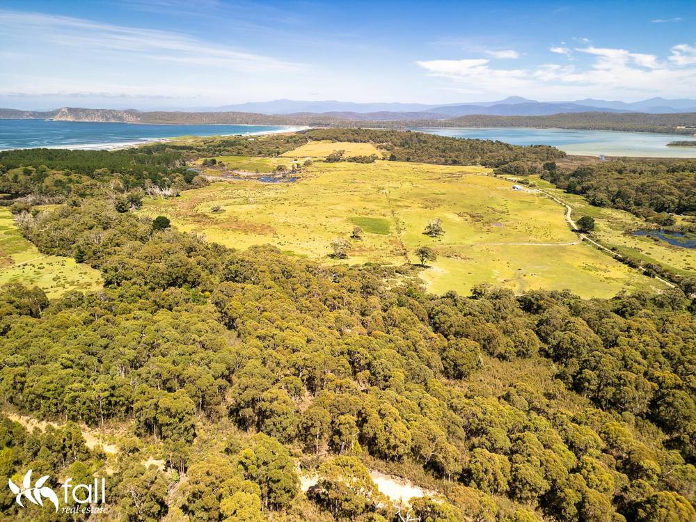 831 Cloudy Bay Road, SOUTH BRUNY, TAS 7150