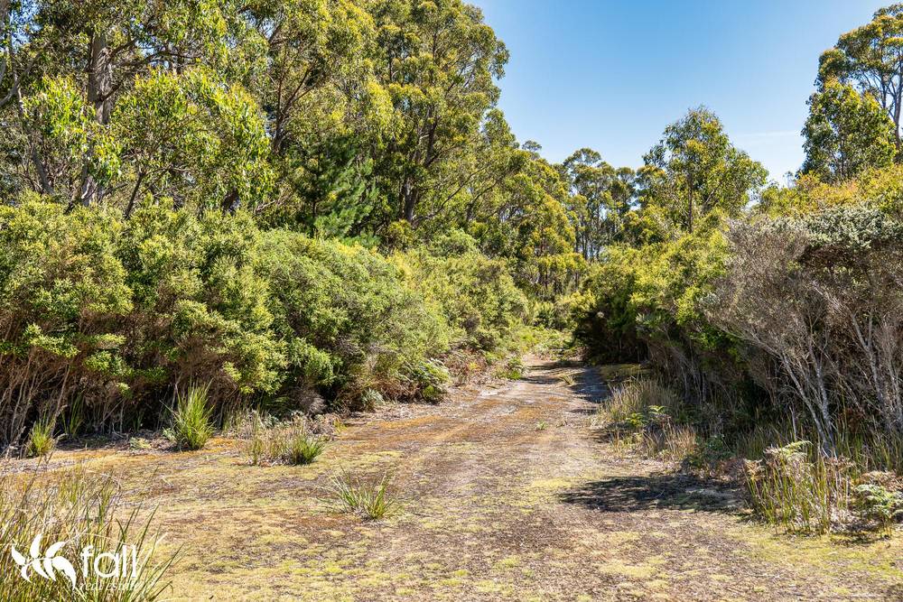 831 Cloudy Bay Road, SOUTH BRUNY, TAS 7150