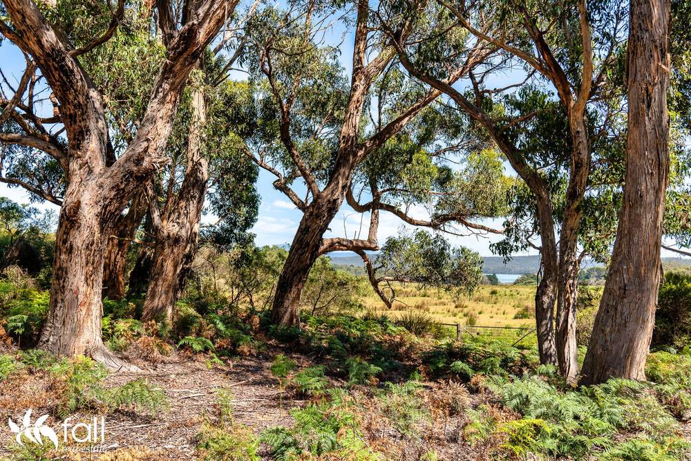 831 Cloudy Bay Road, SOUTH BRUNY, TAS 7150