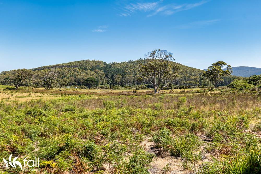 831 Cloudy Bay Road, SOUTH BRUNY, TAS 7150