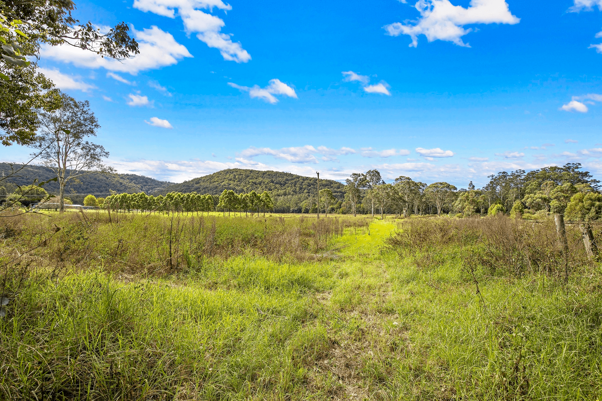 1485 Yarramalong Road, Yarramalong, NSW 2259