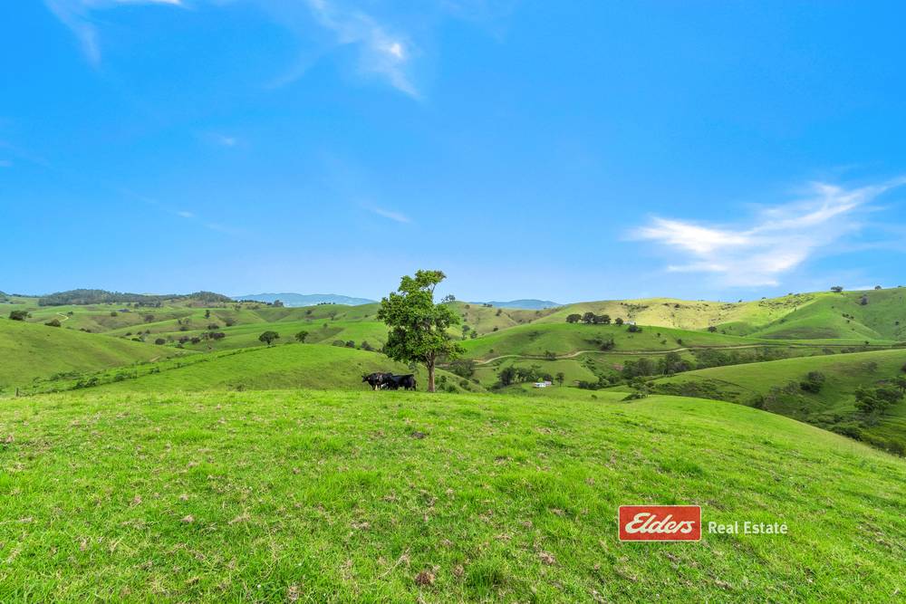 Lot 110 Tipperary Road, Tipperary via, GLOUCESTER, NSW 2422