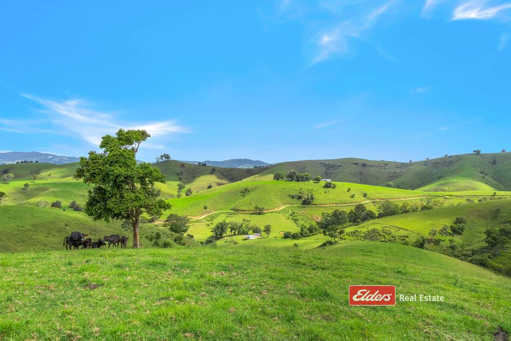 Lot 110 Tipperary Road, Tipperary via, GLOUCESTER, NSW 2422