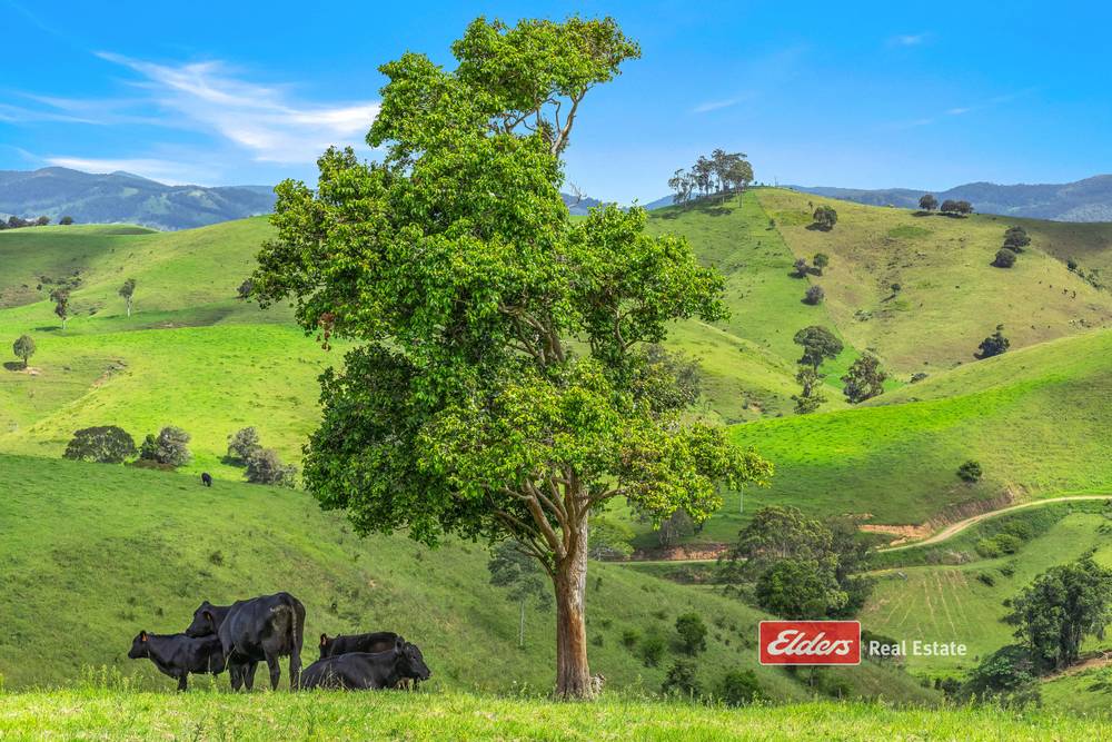 Lot 110 Tipperary Road, Tipperary via, GLOUCESTER, NSW 2422