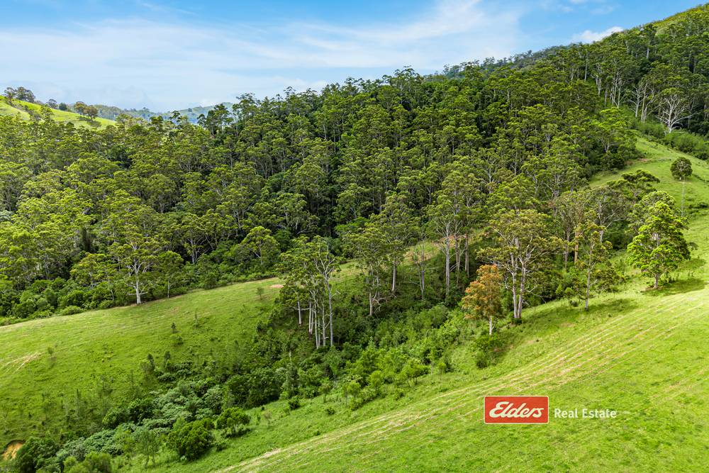 Lot 110 Tipperary Road, Tipperary via, GLOUCESTER, NSW 2422