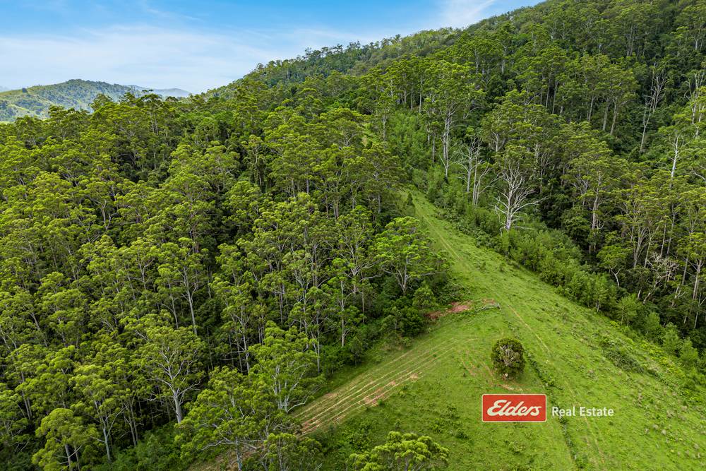 Lot 110 Tipperary Road, Tipperary via, GLOUCESTER, NSW 2422
