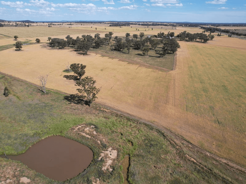 1610 Goldfields Way, TEMORA, NSW 2666