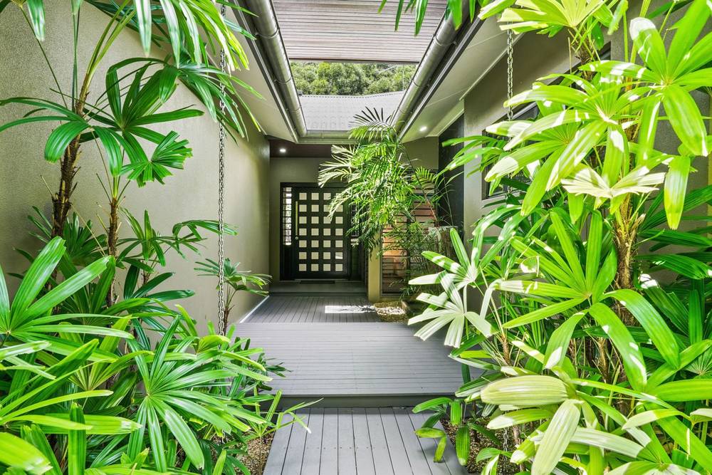29 Muller Street, Palm Cove, QLD 4879