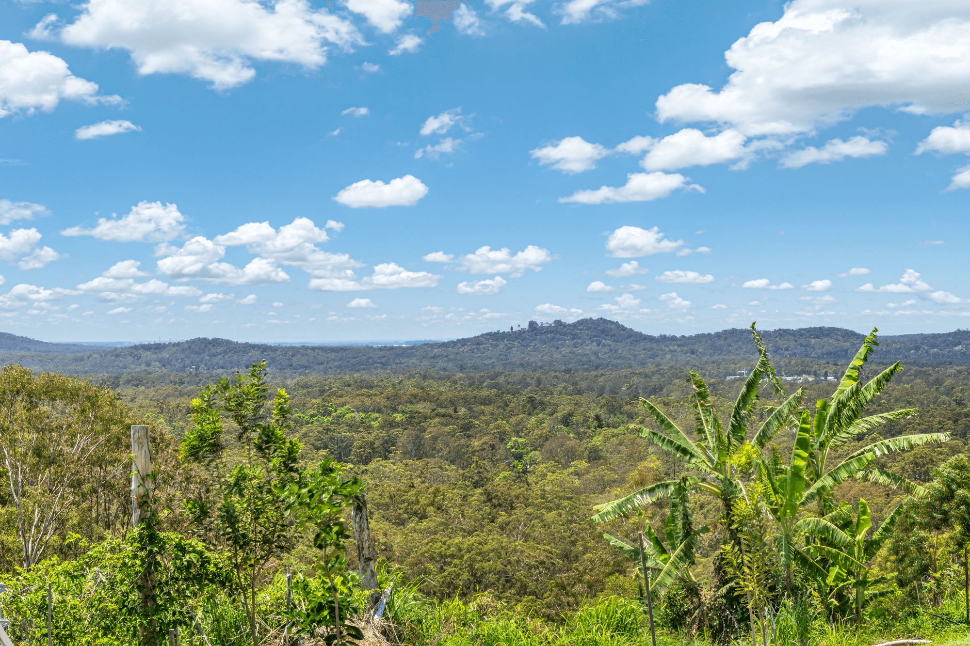 64 Gattera Road, LANDSBOROUGH, QLD 4550