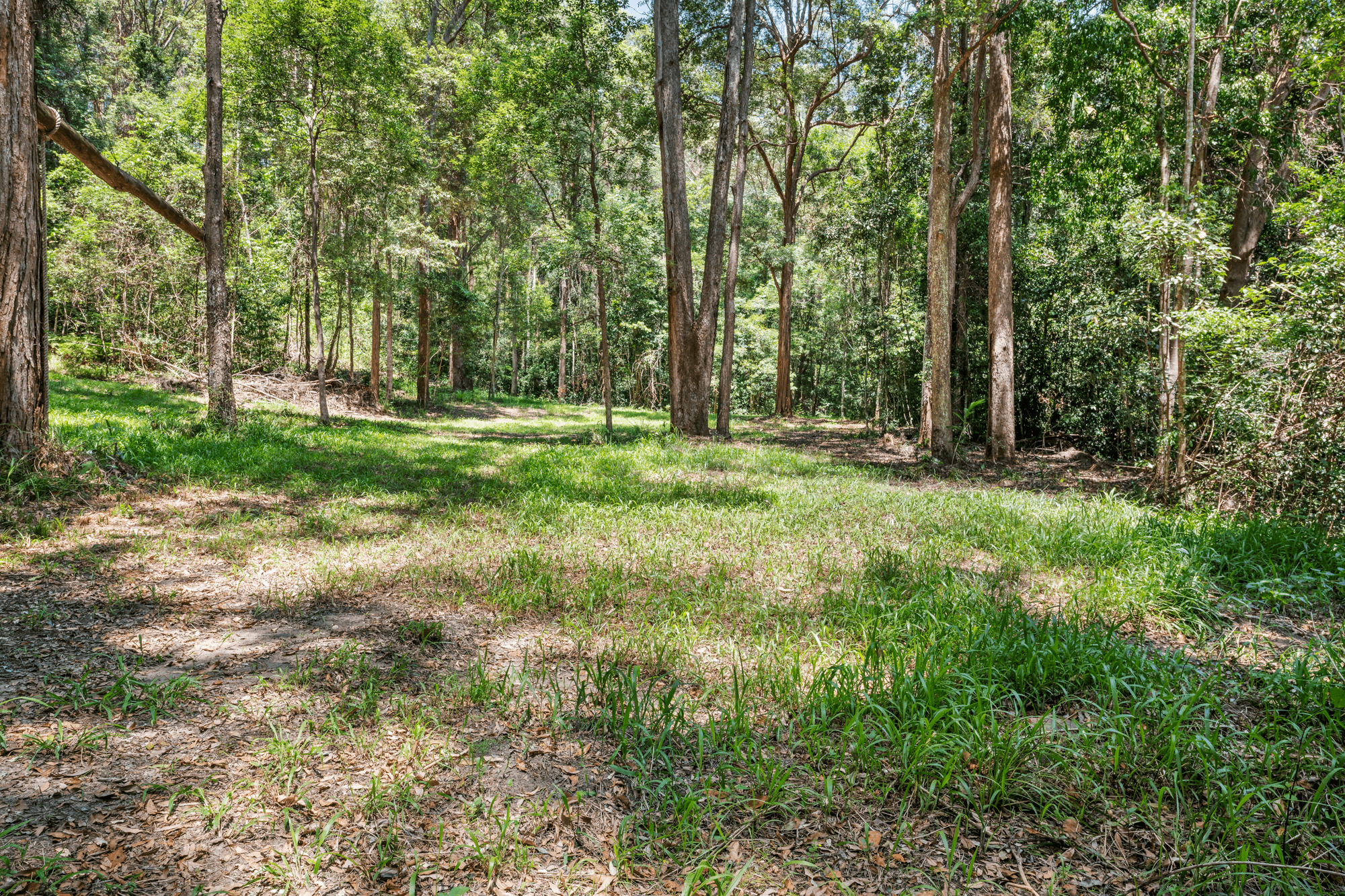 64 Gattera Road, LANDSBOROUGH, QLD 4550