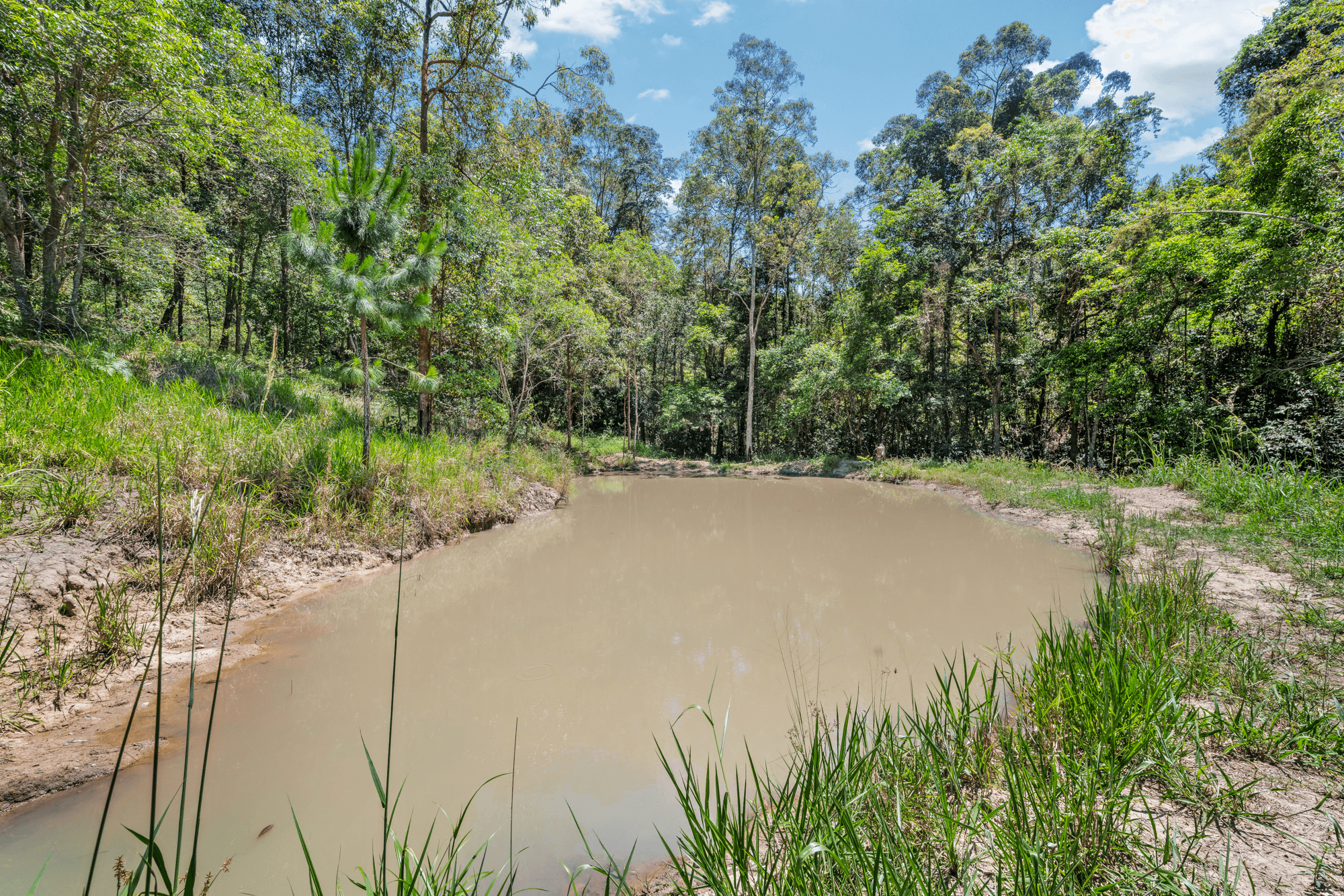 64 Gattera Road, LANDSBOROUGH, QLD 4550