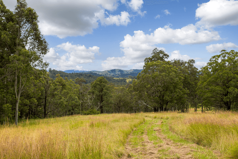 271 Norries Road, BUNYAH, NSW 2429