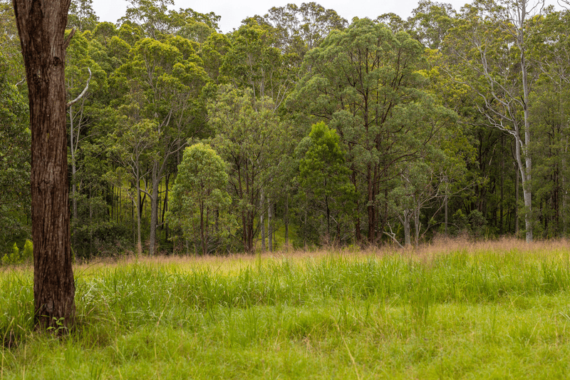 271 Norries Road, BUNYAH, NSW 2429