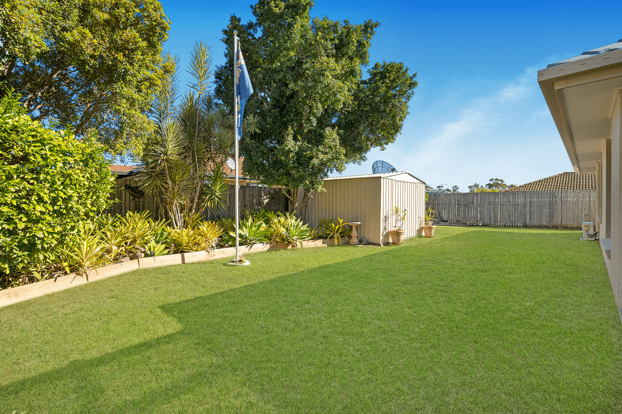 6  Dakar Road, ALGESTER, QLD 4115