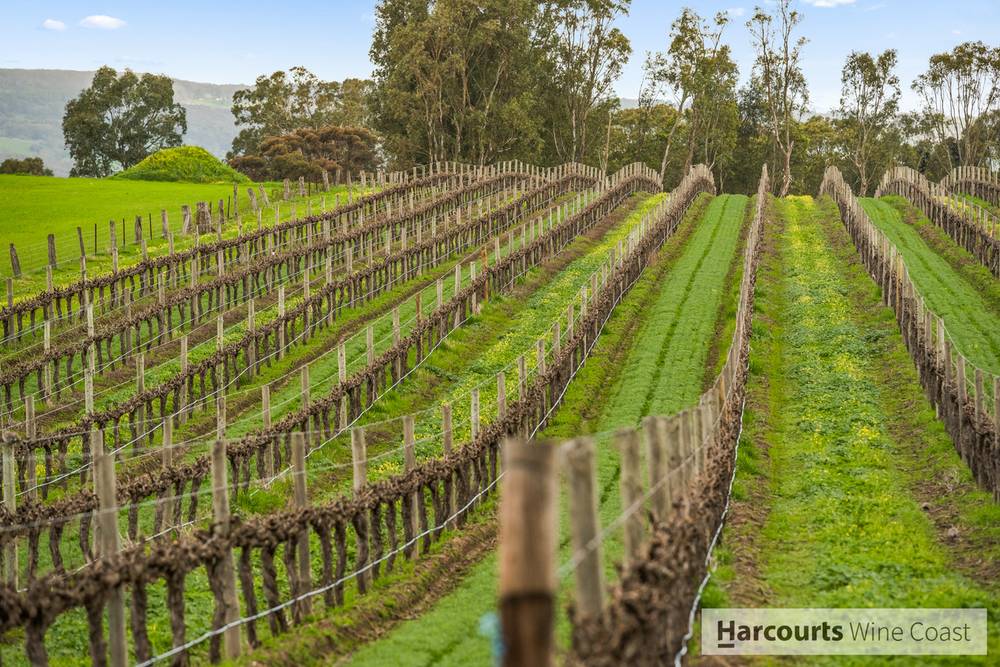 1/17 Field Street, MCLAREN VALE, SA 5171