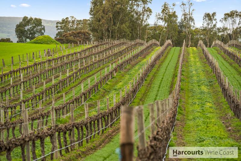 1/17 Field Street, MCLAREN VALE, SA 5171