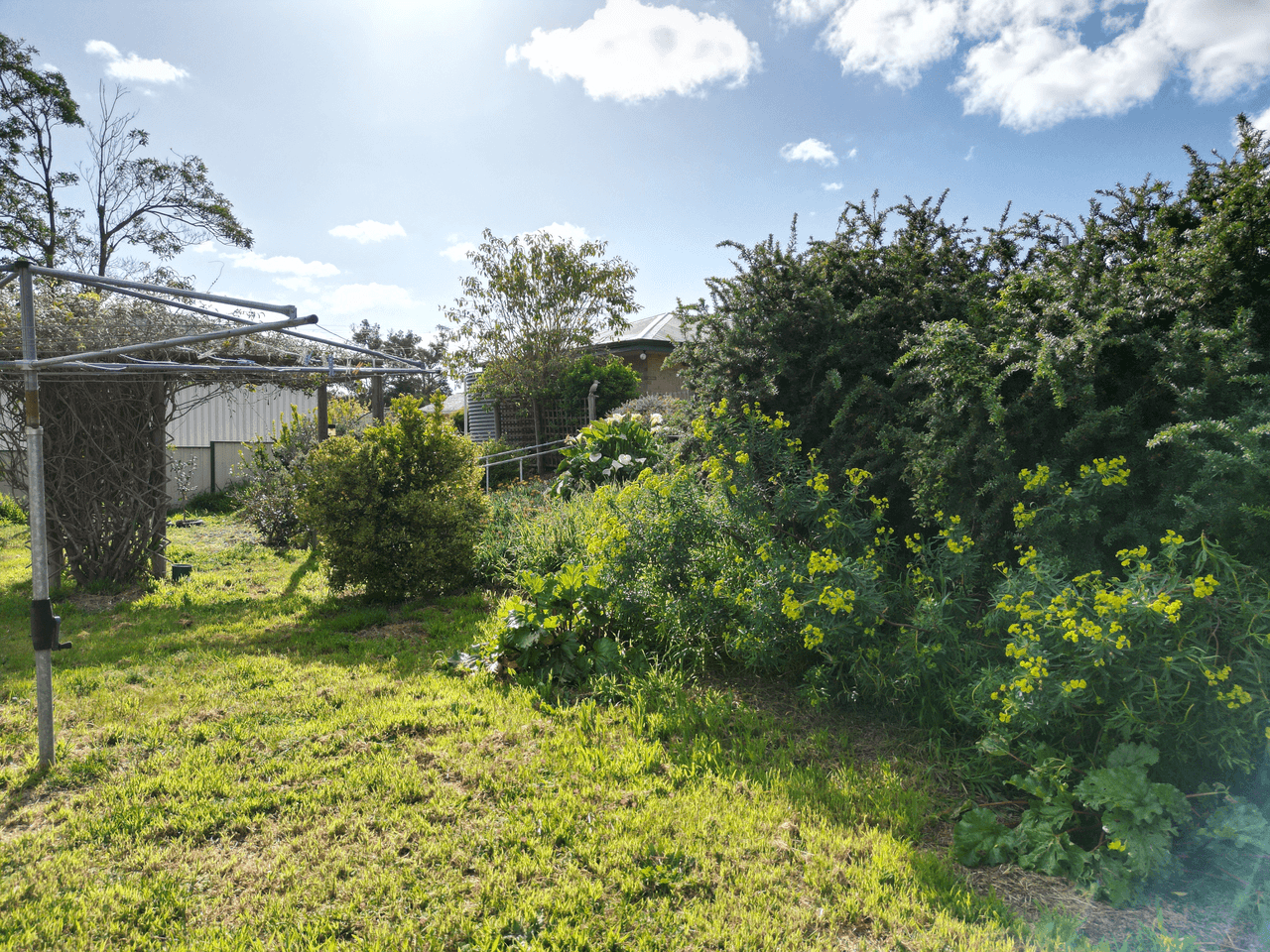 44-46 Kojonup-Katanning Road, KOJONUP, WA 6395