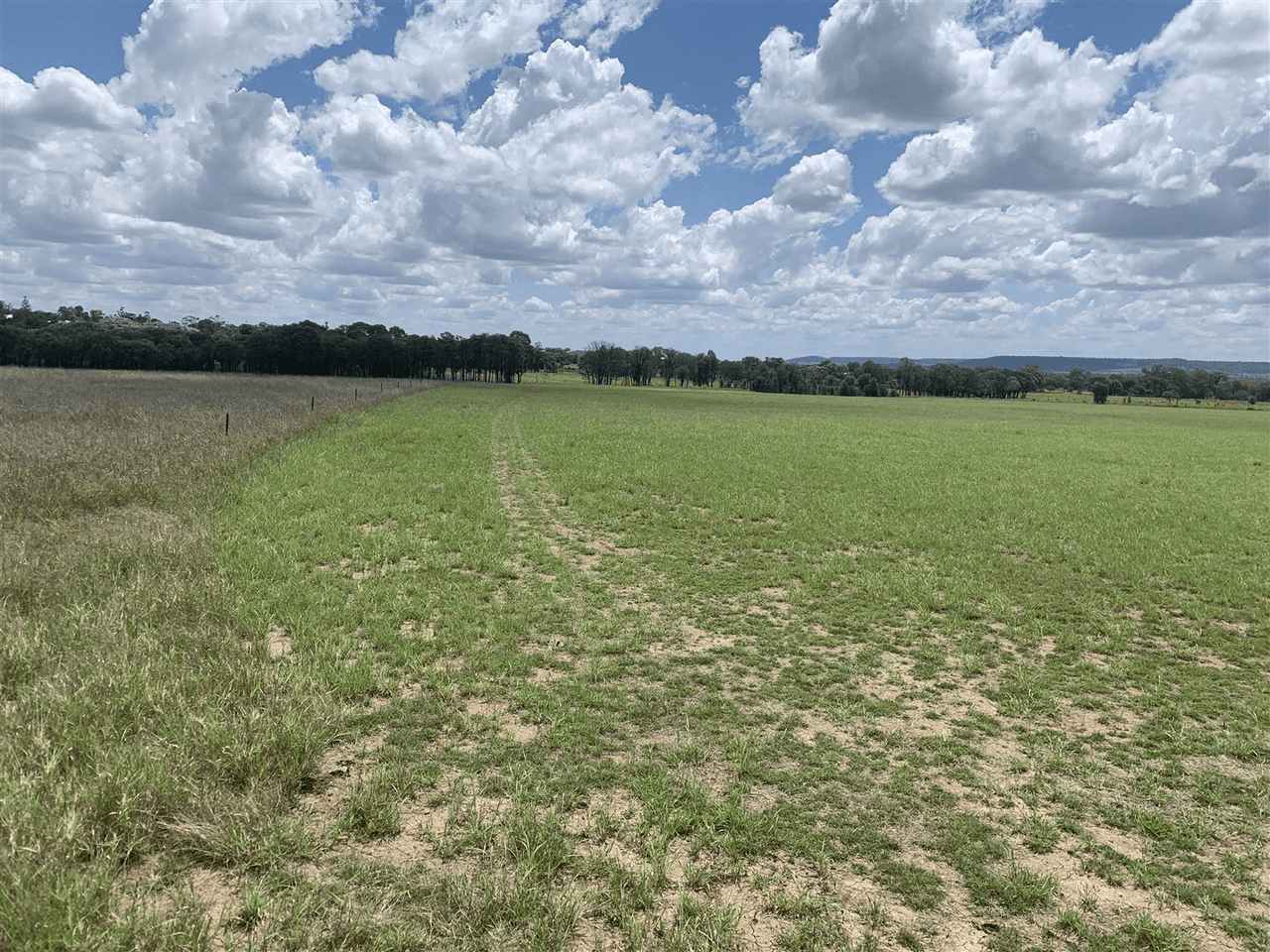 28-36 Ludwig Drive, Taroom, QLD 4420