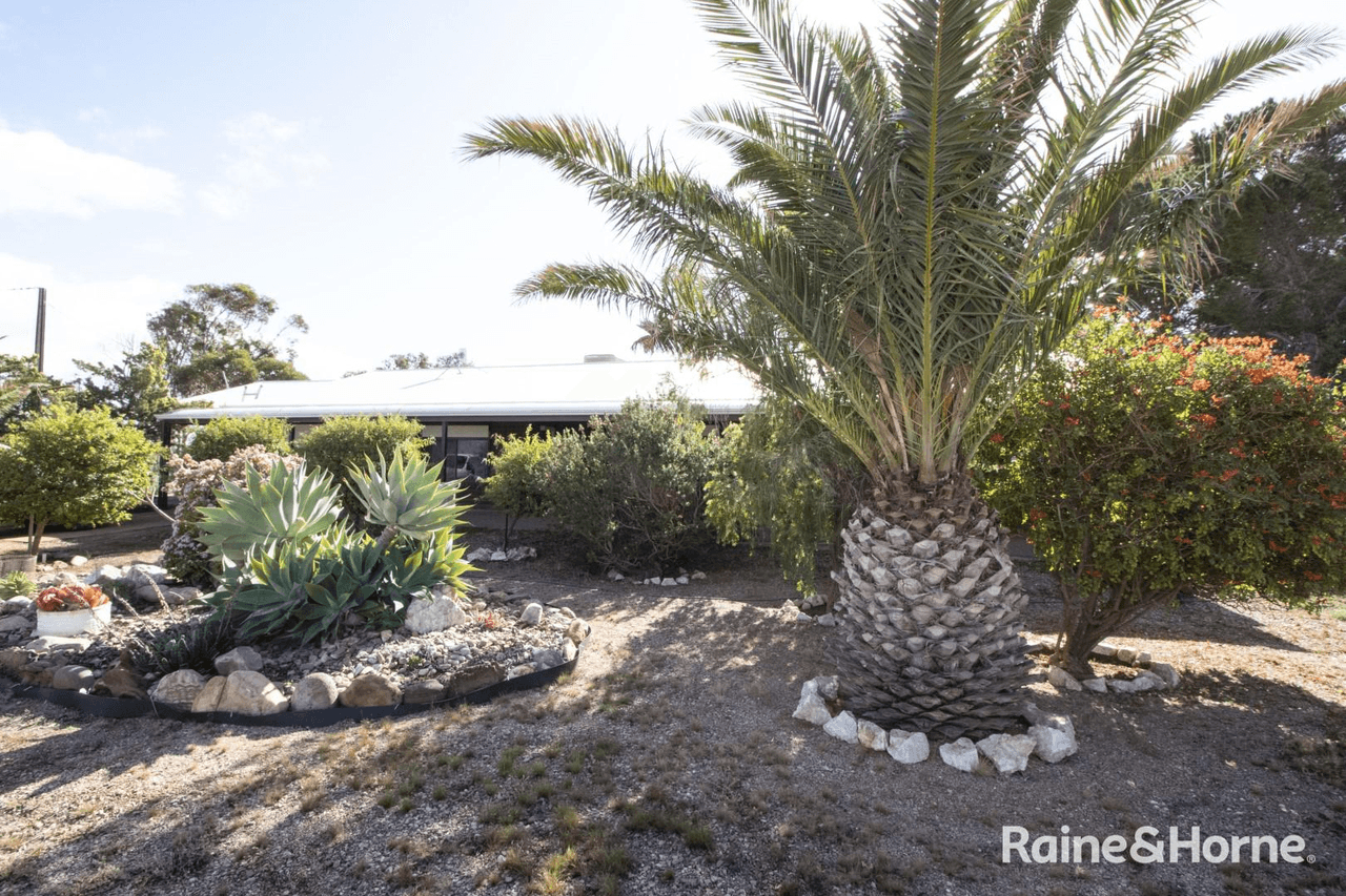 405 Port Paterson Road, PORT PATERSON, SA 5700